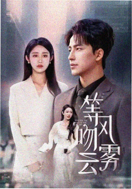 千与千寻 看片一区二区 动画经典